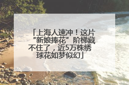 上海人速冲！这片“新娘捧花”阶梯藏不住了，近5万株绣球花如梦似幻