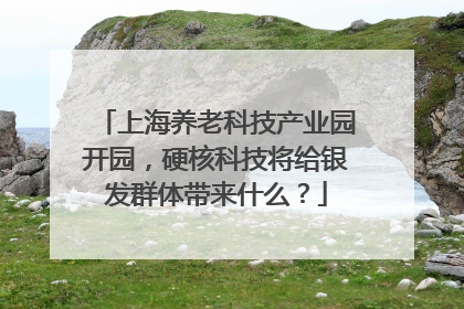 上海养老科技产业园开园，硬核科技将给银发群体带来什么？