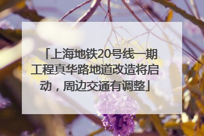 上海地铁20号线一期工程真华路地道改造将启动，周边交通有调整