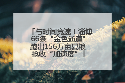 与时间竞速！淄博66条“金色通道”跑出156万亩夏粮抢收“加速度”