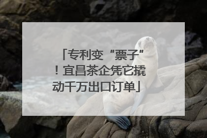 专利变“票子”！宜昌茶企凭它撬动千万出口订单