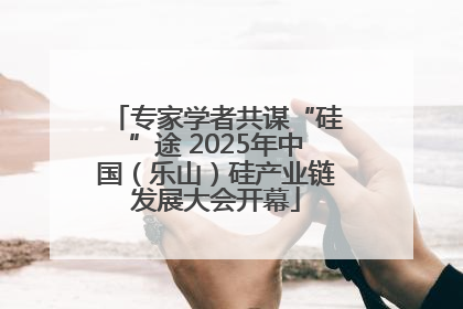 专家学者共谋“硅”途 2025年中国（乐山）硅产业链发展大会开幕
