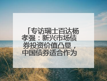 专访瑞士百达杨孝强：新兴市场债券投资价值凸显，中国债券适合作为“稳定器”