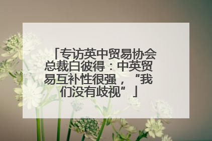 专访英中贸易协会总裁白彼得：中英贸易互补性很强，“我们没有歧视”