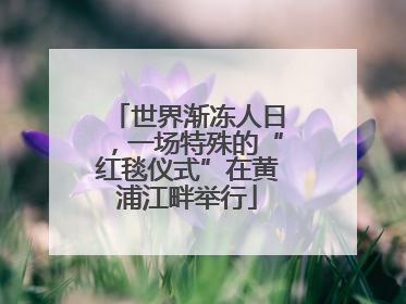 世界渐冻人日，一场特殊的“红毯仪式”在黄浦江畔举行