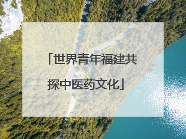 世界青年福建共探中医药文化