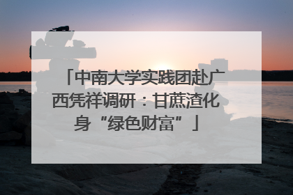 中南大学实践团赴广西凭祥调研：甘蔗渣化身“绿色财富”