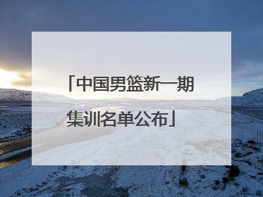 中国男篮新一期集训名单公布