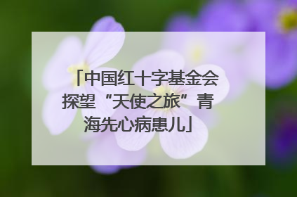 中国红十字基金会探望“天使之旅”青海先心病患儿
