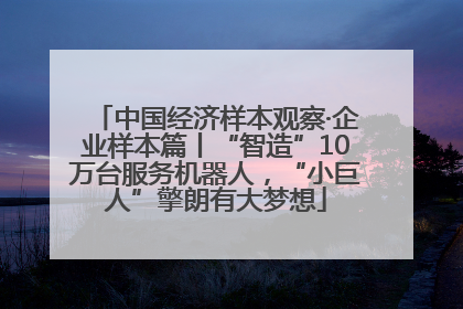 中国经济样本观察·企业样本篇丨“智造”10万台服务机器人，“小巨人”擎朗有大梦想