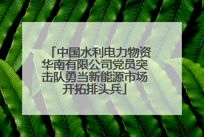 中国水利电力物资华南有限公司党员突击队勇当新能源市场开拓排头兵