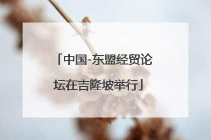 中国-东盟经贸论坛在吉隆坡举行