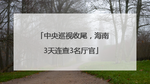 中央巡视收尾，海南3天连查3名厅官