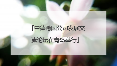 中德跨国公司发展交流论坛在青岛举行
