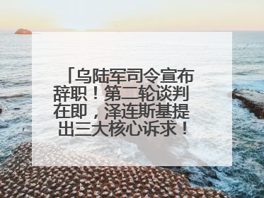 乌陆军司令宣布辞职！第二轮谈判在即，泽连斯基提出三大核心诉求！乌方透露摧毁41架俄战略轰炸机