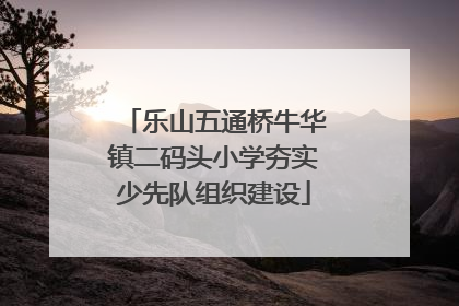 乐山五通桥牛华镇二码头小学夯实少先队组织建设