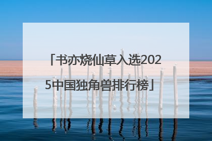 书亦烧仙草入选2025中国独角兽排行榜