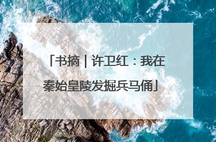 书摘｜许卫红：我在秦始皇陵发掘兵马俑