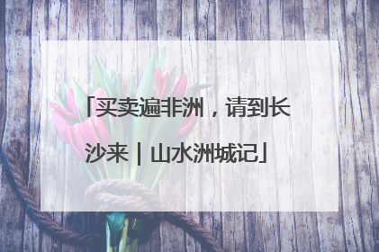 买卖遍非洲，请到长沙来｜山水洲城记