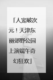 人宠破次元！天津东丽郊野公园上演端午奇幻狂欢