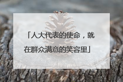 人大代表的使命，就在群众满意的笑容里