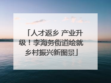 人才返乡 产业升级！李海务街道绘就乡村振兴新图景