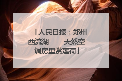 人民日报：郑州西流湖——天然空调房里赏莲荷