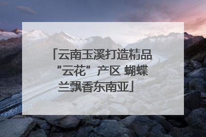 云南玉溪打造精品“云花”产区 蝴蝶兰飘香东南亚