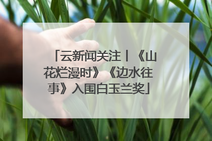 云新闻关注丨《山花烂漫时》《边水往事》入围白玉兰奖