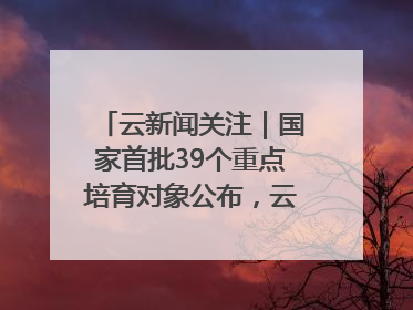 云新闻关注｜国家首批39个重点培育对象公布，云南有3个