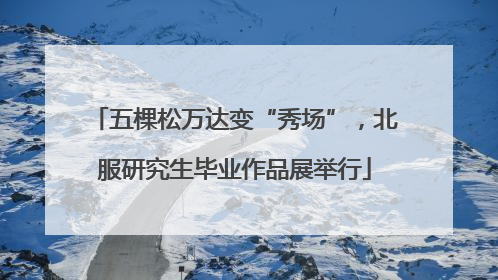 五棵松万达变“秀场”，北服研究生毕业作品展举行