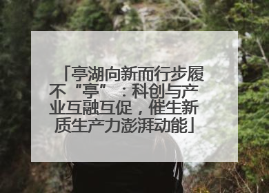 亭湖向新而行步履不“亭”：科创与产业互融互促，催生新质生产力澎湃动能