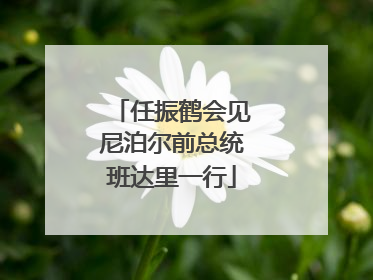 任振鹤会见尼泊尔前总统班达里一行