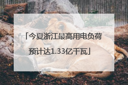 今夏浙江最高用电负荷预计达1.33亿千瓦