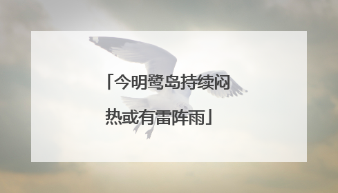 今明鹭岛持续闷热或有雷阵雨