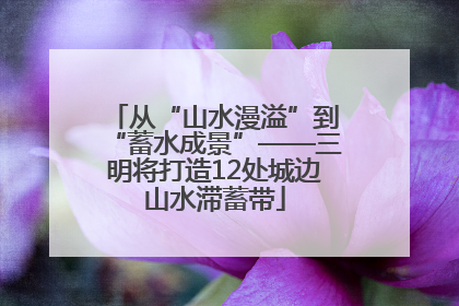 从“山水漫溢”到“蓄水成景”——三明将打造12处城边山水滞蓄带
