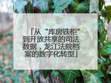 从“库房铁柜”到开放共享的司法数据，龙江法院档案的数字化转型