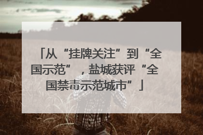 从“挂牌关注”到“全国示范”，盐城获评“全国禁毒示范城市”