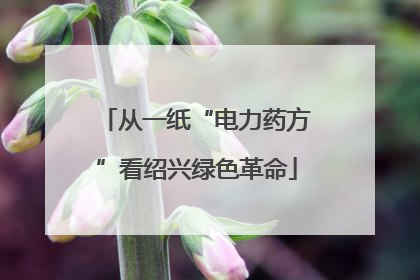 从一纸“电力药方”看绍兴绿色革命