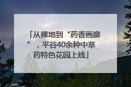 从裸地到“药香画廊”，平谷40余种中草药特色花园上线