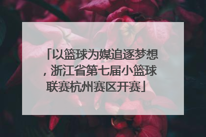 以篮球为媒追逐梦想，浙江省第七届小篮球联赛杭州赛区开赛