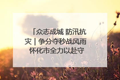 众志成城 防汛抗灾｜争分夺秒战风雨 怀化市全力以赴守护人民群众安全