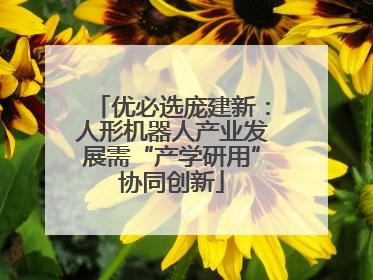 优必选庞建新：人形机器人产业发展需“产学研用”协同创新