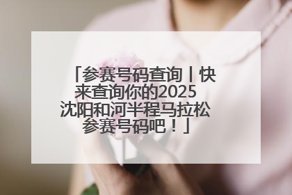 参赛号码查询丨快来查询你的2025沈阳和河半程马拉松参赛号码吧！