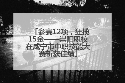 参赛12项，狂揽15金——崇阳职校在咸宁市中职技能大赛斩获佳绩
