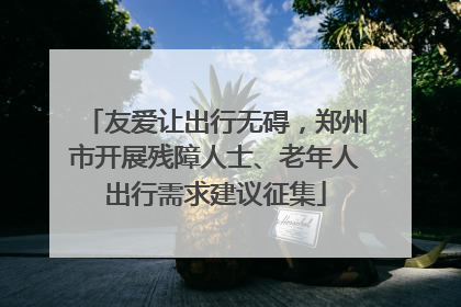 友爱让出行无碍，郑州市开展残障人士、老年人出行需求建议征集