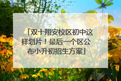 双十翔安校区初中这样划片！最后一个区公布小升初招生方案