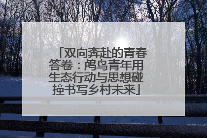 双向奔赴的青春答卷：鸬鸟青年用生态行动与思想碰撞书写乡村未来