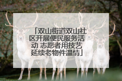 双山街道双山社区开展便民服务活动 志愿者用技艺延续老物件温情
