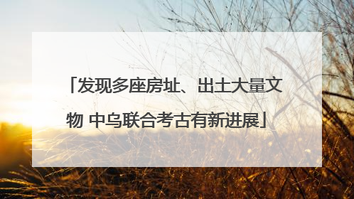 发现多座房址、出土大量文物 中乌联合考古有新进展